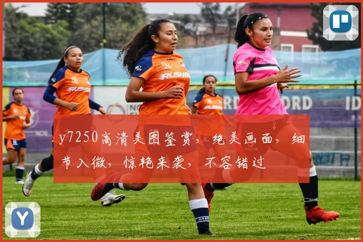 y7250高清美图鉴赏，绝美画面，细节入微，惊艳来袭，不容错过